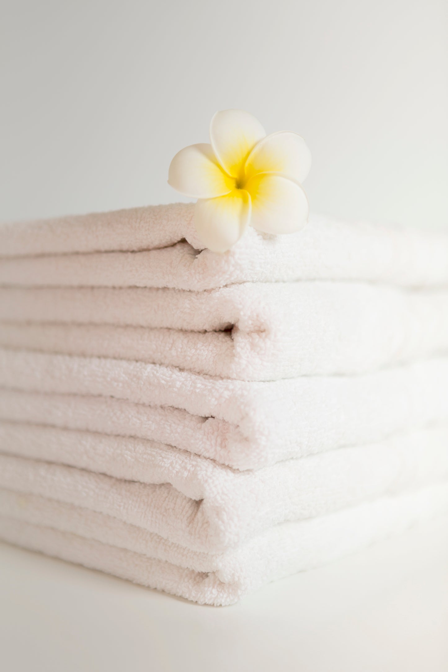 Gold Dobby Towel Collection Bath Towel - 27x54 | 86% Cotton / 14% Polyester | 17 lbs | Pack of 3 DZ (36 Towels)